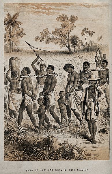 GRAVURE - Esclaves capturés